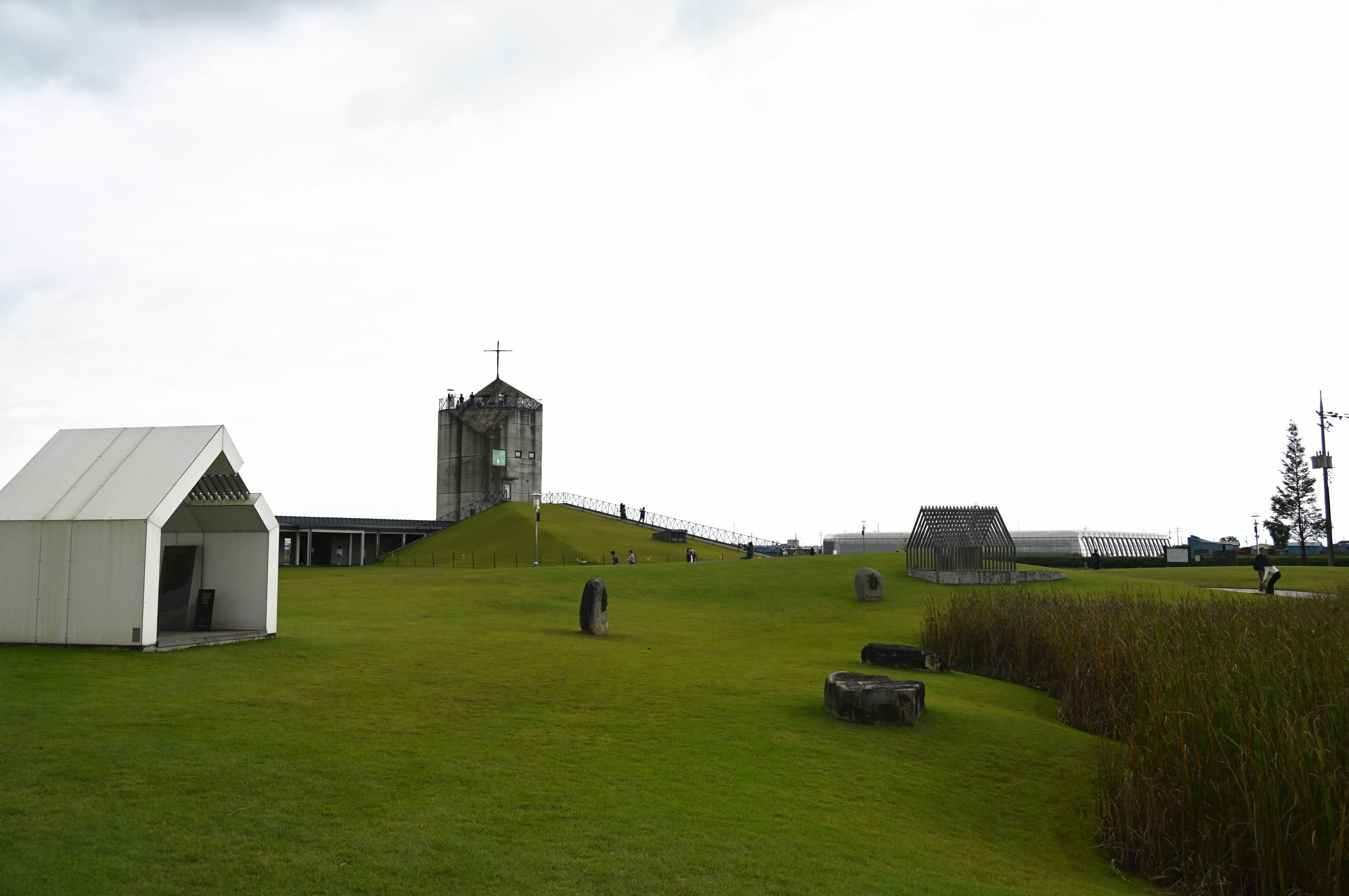 DSC_8384.JPG