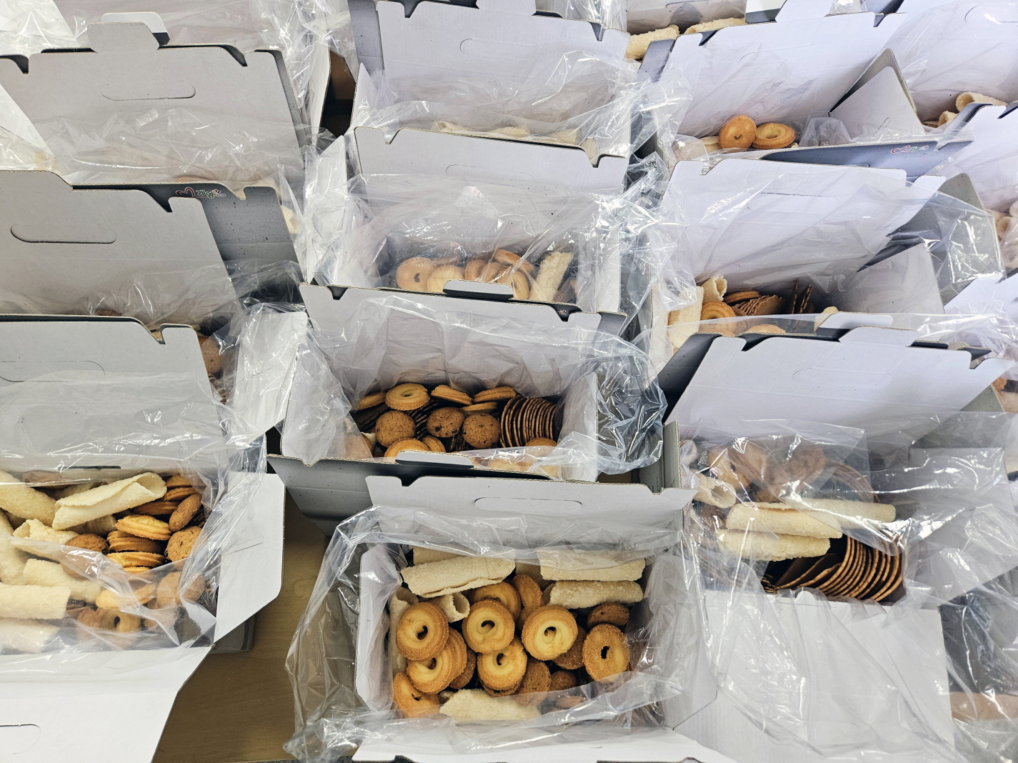 KakaoTalk_20250928_170751236.jpg