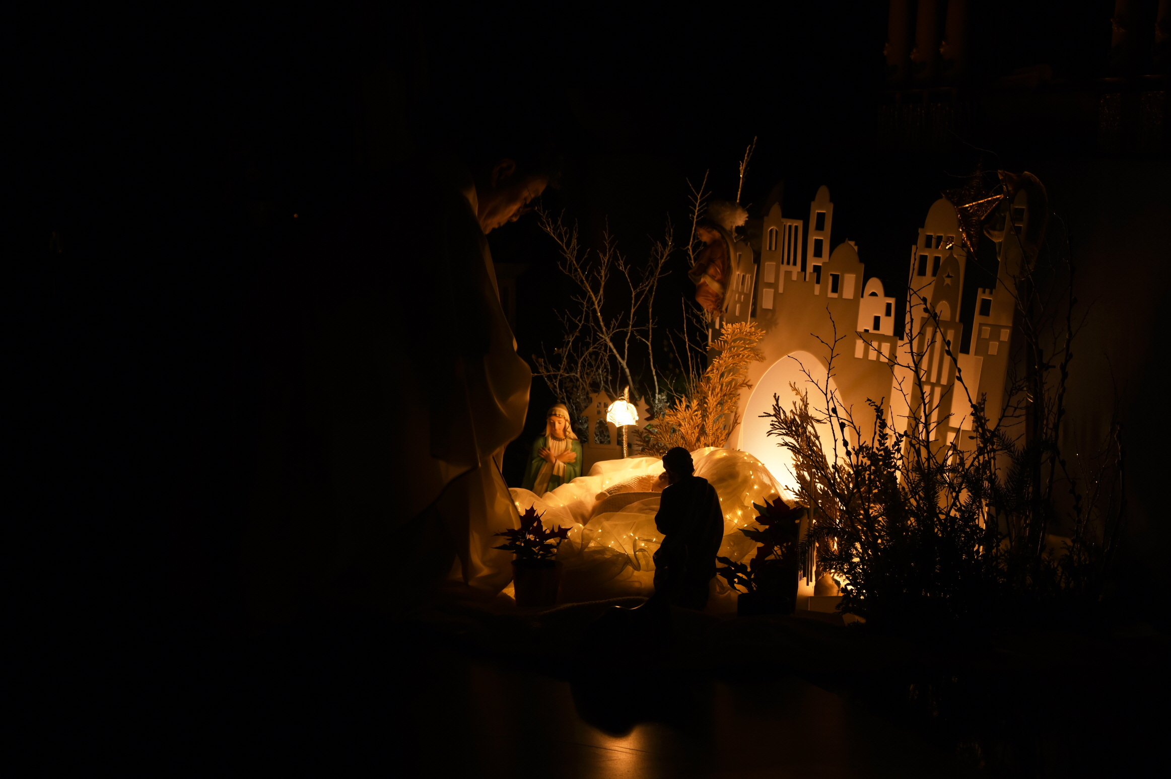 DSC_7389.JPG